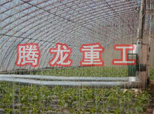 大棚花卉供暖設(shè)備、大棚卉采暖設(shè)備、大棚花卉取暖設(shè)備