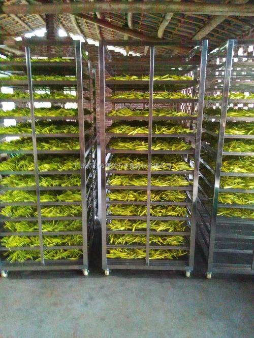 黃花菜烘干機、黃花菜烘干設(shè)備、黃花菜干燥機、黃花菜干燥設(shè)備、